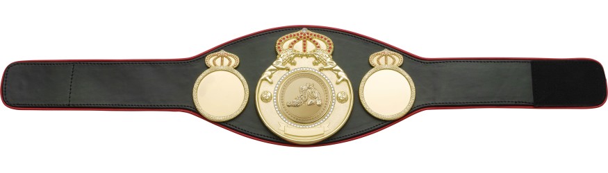 JIU JITSU CHAMPIONSHIP BELT PROLION/G/JJG - AVAILABLE IN 6+ COLOURS JIU JITSU CHAMPIONSHIP BELT PROLION/G/JJG - AVAILABLE IN 6+ COLOURS